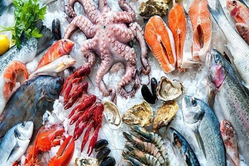 أسعار الأسماك والمأكولات البحرية