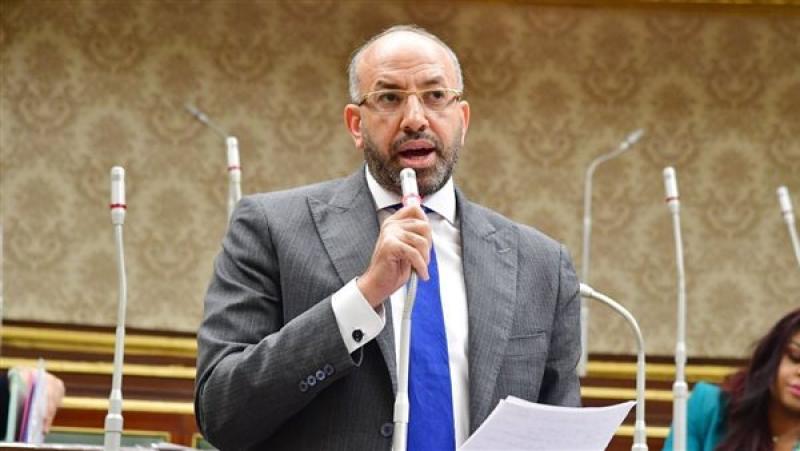 النائب حسام المندوه عضو مجلس النواب