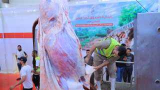 صندوق تحيا مصر يطلق مبادرة ”أضاحي” لتوزيع اللحوم على الأسر الأولى بالرعاية
