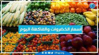 أسعار الخضروات والفاكهة اليوم الخميس 4-7-2024 في أسواق محافظة البحيرة