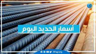 أسعار الحديد اليوم الخميس 25-7-2024 في محافظة البحيرة