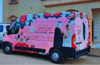 أفضل سيارة نقل دبش العروسة في الرياض بأسعار رخيصة وخدمة 24 ساعة 0547536067